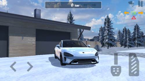 国产车模拟器图片2