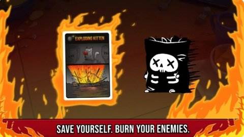 爆炸小猫2图片12