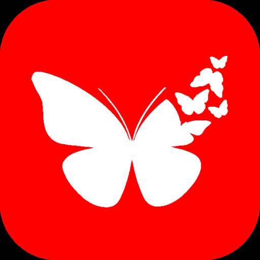 蝴蝶体育安卓版