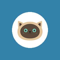 简便电视浏览器(Vita Browser)