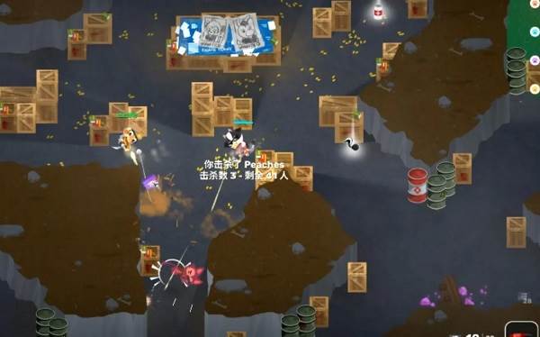 小动物之星国际版游戏截图11