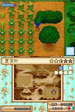 牧场物语风之集市游戏截图6