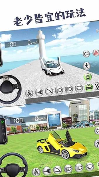 真实驾驶模拟图片