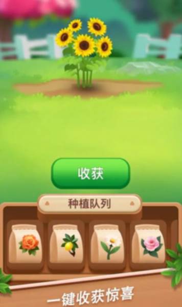 温馨花园游戏图片3