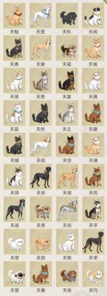 华夏千秋官方版102