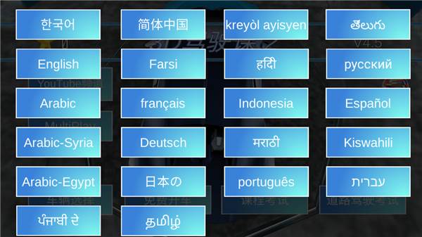 3D驾驶课2最新版6