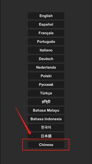 中文设置教程配图3