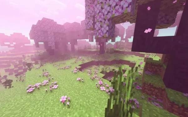 樱花群系攻略配图1