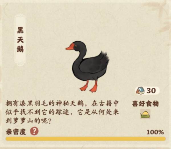 仙女湖鸟类介绍配图2