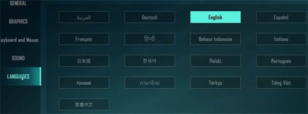 怎么调中文配图2