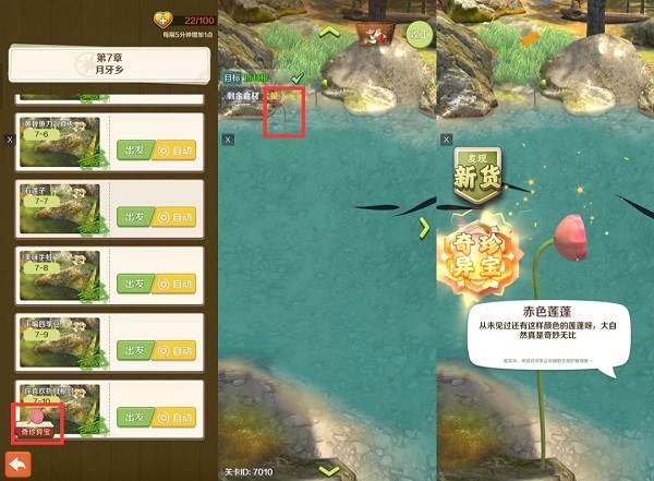 奇珍异宝在哪里找配图2