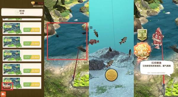 奇珍异宝在哪里找配图3