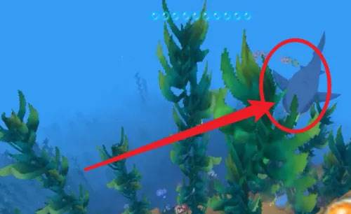 怎么驯服鲨配图3