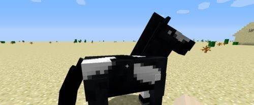 怎么驯服马配图1