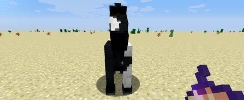 怎么驯服马配图2