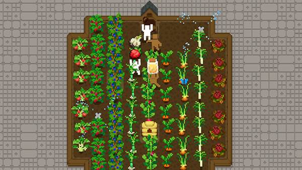 小小露台宣传图