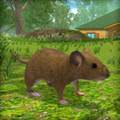 老鼠模拟器手机版 Mouse Simulator