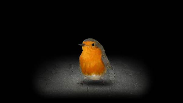 开局一颗种子游戏宣传图