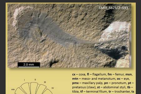 慢读软件最新版