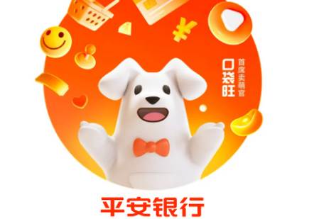 平安口袋银行 平安口袋银行