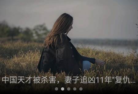 个人图书馆下载安装, 个人图书馆下载安装