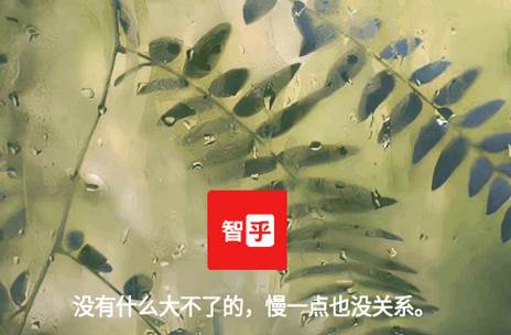 智乎优化版app最新版