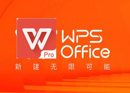 WPS Office政务版