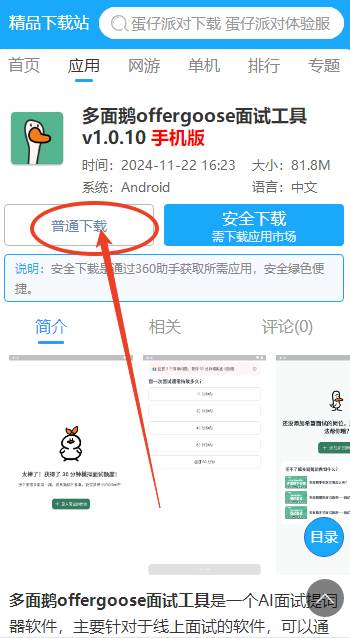 多面鹅offergoose面试工具