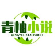 青柚小说app手机安卓版