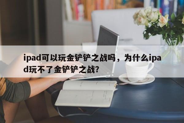 ipad可以玩金铲铲之战吗，为什么ipad玩不了金铲铲之战？