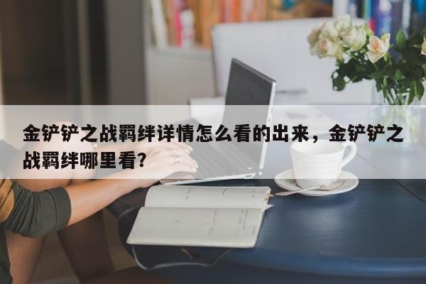 金铲铲之战羁绊详情怎么看的出来，金铲铲之战羁绊哪里看？