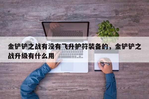 金铲铲之战有没有飞升护符装备的，金铲铲之战升级有什么用