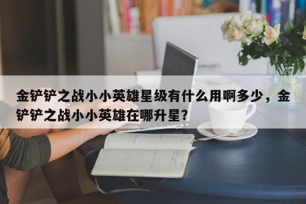 金铲铲之战小小英雄星级有什么用啊多少，金铲铲之战小小英雄在哪升星？