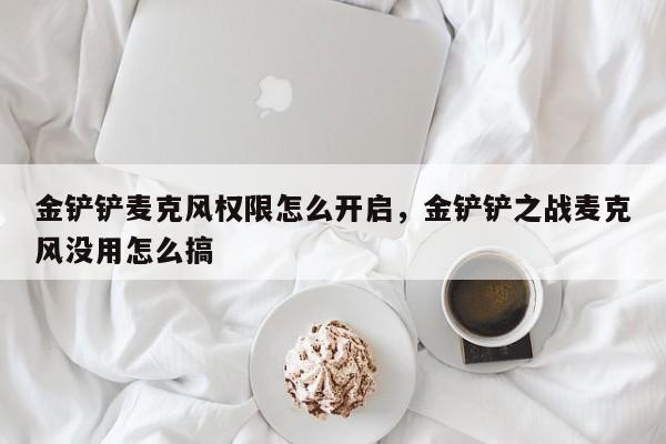 金铲铲麦克风权限怎么开启，金铲铲之战麦克风没用怎么搞