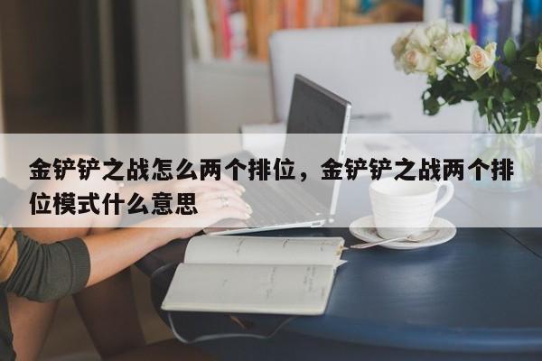 金铲铲之战怎么两个排位，金铲铲之战两个排位模式什么意思