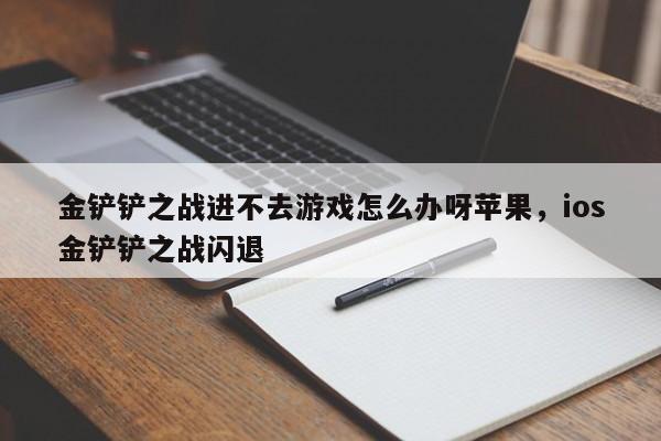 金铲铲之战进不去游戏怎么办呀苹果，ios金铲铲之战闪退