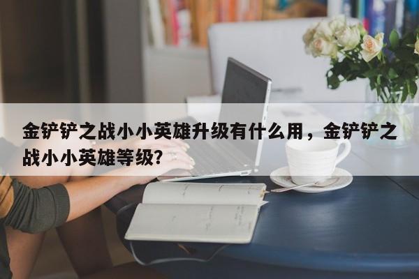 金铲铲之战小小英雄升级有什么用，金铲铲之战小小英雄等级？