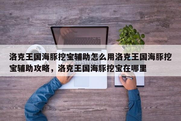 洛克王国海豚挖宝辅助怎么用洛克王国海豚挖宝辅助攻略，洛克王国海豚挖宝在哪里