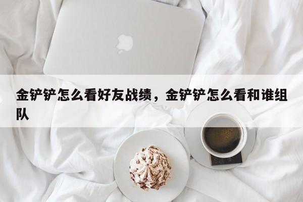 金铲铲怎么看好友战绩，金铲铲怎么看和谁组队