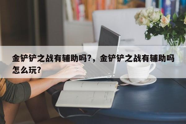 金铲铲之战有辅助吗?，金铲铲之战有辅助吗怎么玩？
