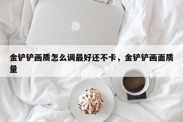 金铲铲画质怎么调最好还不卡，金铲铲画面质量