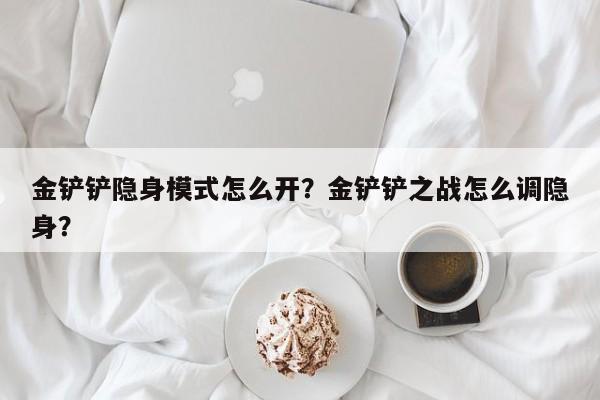 金铲铲隐身模式怎么开？金铲铲之战怎么调隐身？