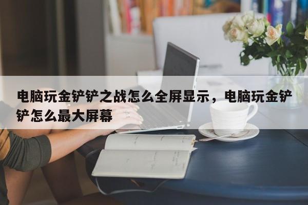 电脑玩金铲铲之战怎么全屏显示，电脑玩金铲铲怎么最大屏幕