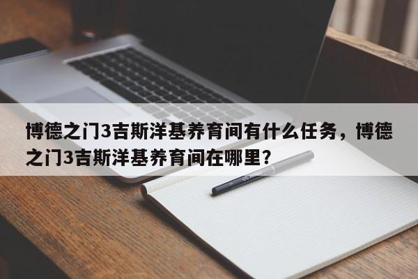 博德之门3吉斯洋基养育间有什么任务，博德之门3吉斯洋基养育间在哪里？