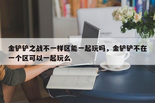 金铲铲之战不一样区能一起玩吗，金铲铲不在一个区可以一起玩么