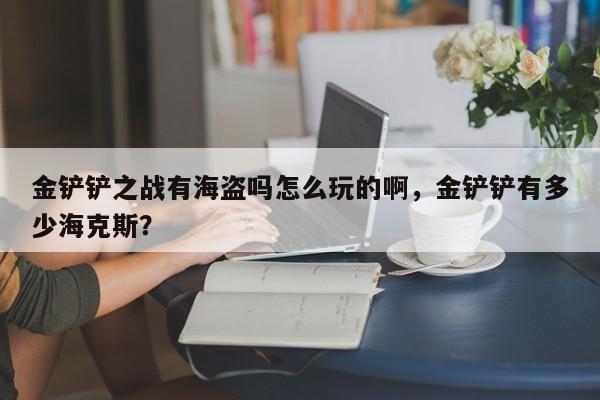 金铲铲之战有海盗吗怎么玩的啊，金铲铲有多少海克斯？