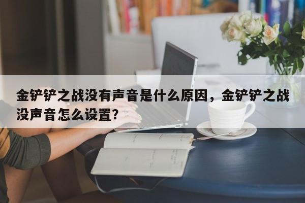 金铲铲之战没有声音是什么原因，金铲铲之战没声音怎么设置？